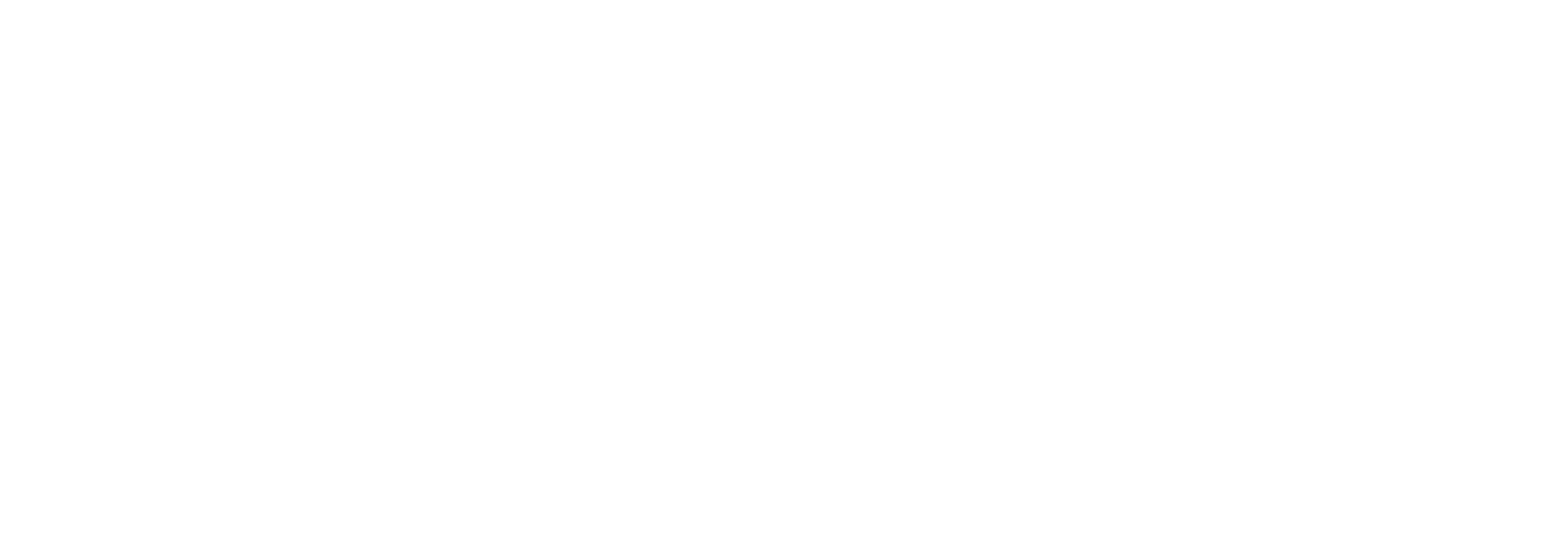 logo RIB